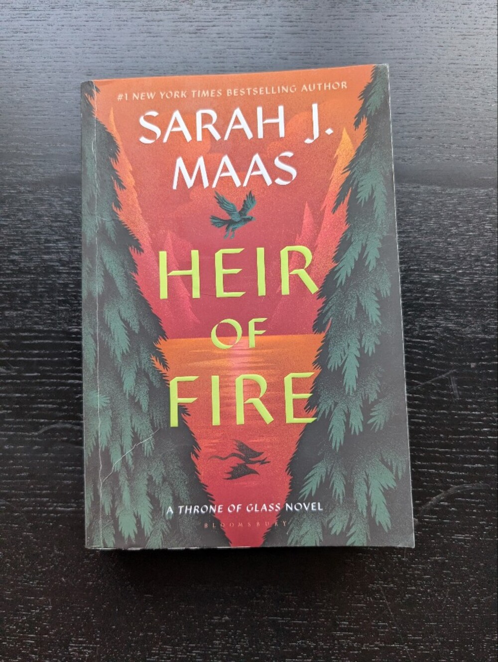 Heir Of Fire by Sarah J Maas